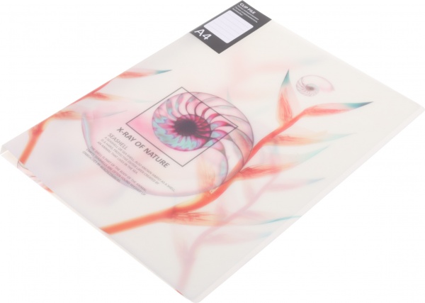 Папка Калейдоскоп А4 в ассортименте Optima