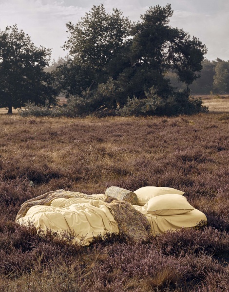 Подушка декоративная Ophelia 22x50 см разноцветный Essenza 