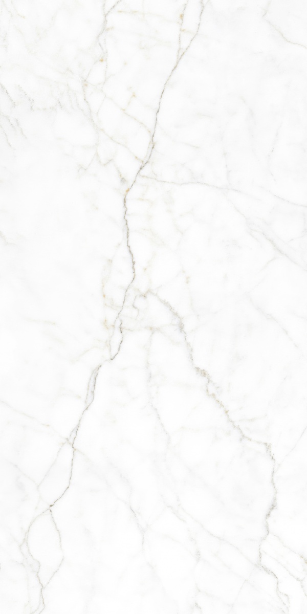 Плитка Articer Tiles Calati white polished 60x120 см — фото 1