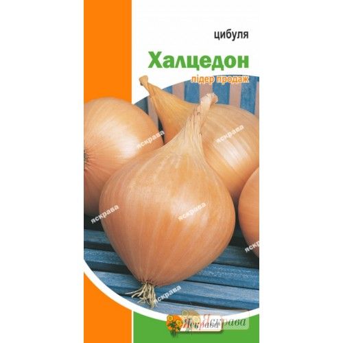 Семена Яскрава лук Халцедон 1г (4823069802011)