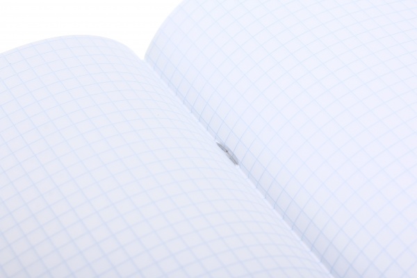 Тетрадь школьная с глитером 60 листов в клеточку в ассортименте Мечты сбываются