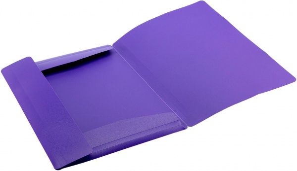 Папка E31633 А4 Economix