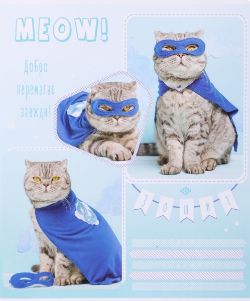 Тетрадь школьная Tadward коса