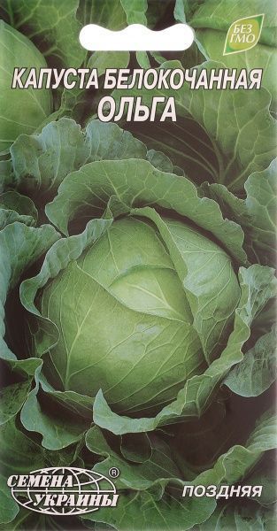 Семена Семена Украины капуста белокочанная Ольга 1г
