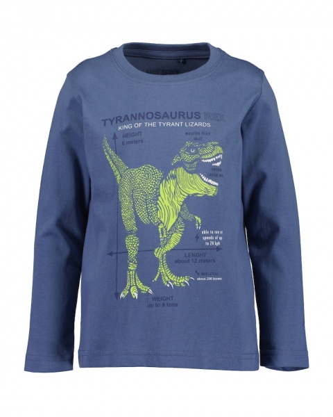 Реглан для хлопчика Blue Seven р.116 ультрамарин 850718 X* 