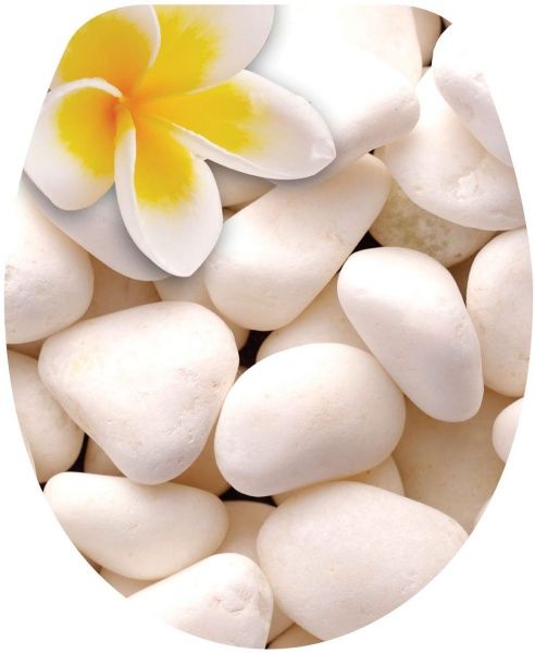 Сиденье для унитаза Rapal Lily 233 3D-дизайн дюропласт