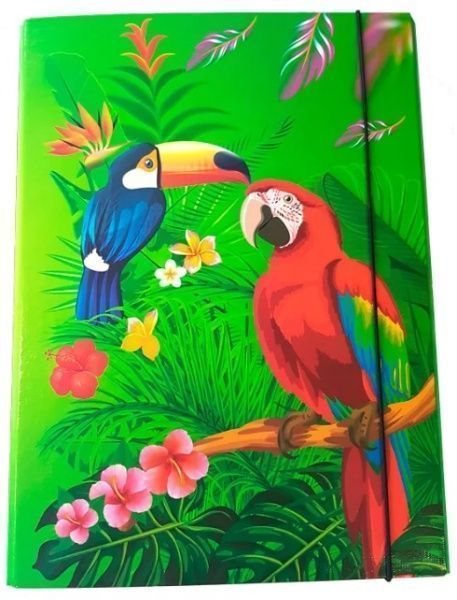 Папка на резинці Птахи 306-40\PT iTEM