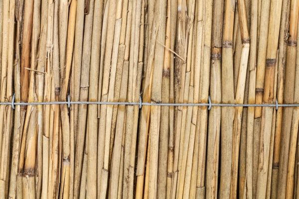 Плита из тростника 1х1,5 м