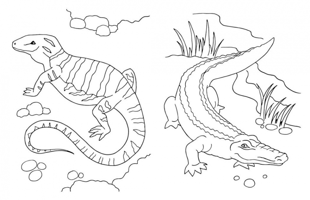 Книга «Велика книга розмальовок: Тварини» 978-617-09-7221-7