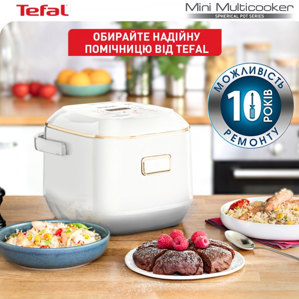 Мультиварка Tefal Mini Multicooker RK601134 