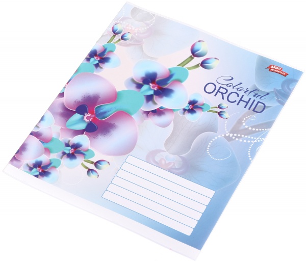 Тетрадь школьная 24 листа в линейку в ассортименте Мечты сбываются