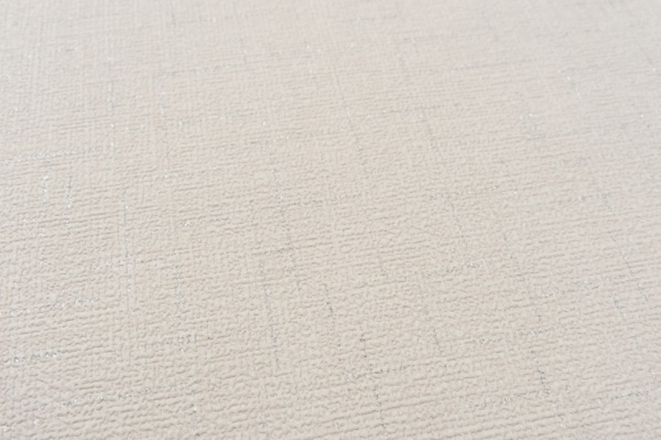 Шпалери вінілові на паперовій основі Vinil Захоплення ВКС 5-1335 0,53x10,05 м 