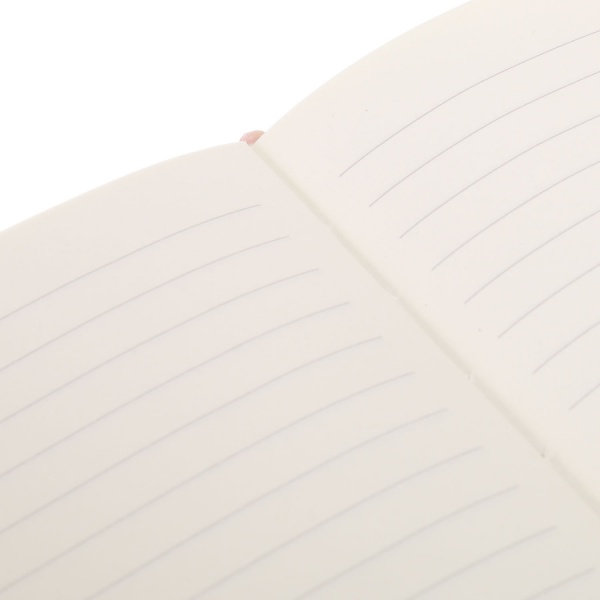 Книга для записей Геометрия 3 А5 96 листов