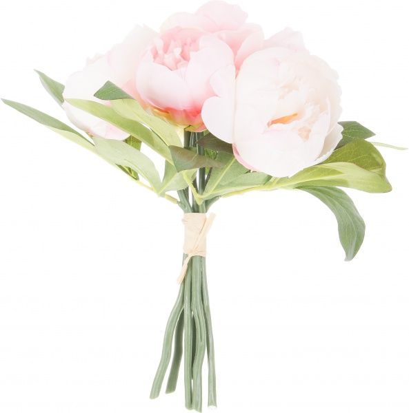 Букет півоній рожевий 6 гілок