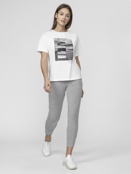 Штани 4F D4L21-SPDD212-25M р. XL сірий