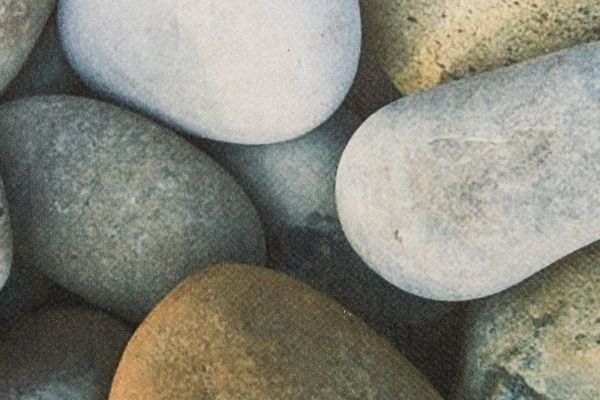 Килимок New Way Dolphin SM-022 0,45х0,75 м