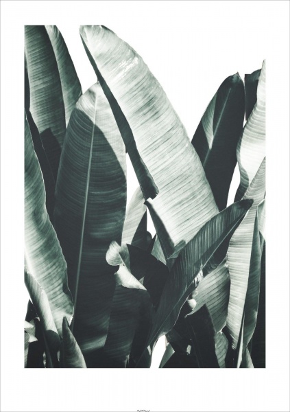 Картина на полотні Подих екватора (без рамки) 55x80 см ТЕРРАВОЛ 