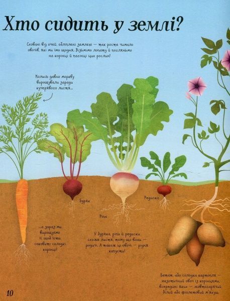 Книга Эмили Боун «Усе починається з насіння…як росте їжа» 978-617-7579-21-1