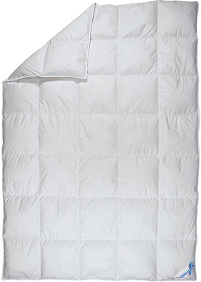 Одеяло Магнолия К2 140x205 см Billerbeck