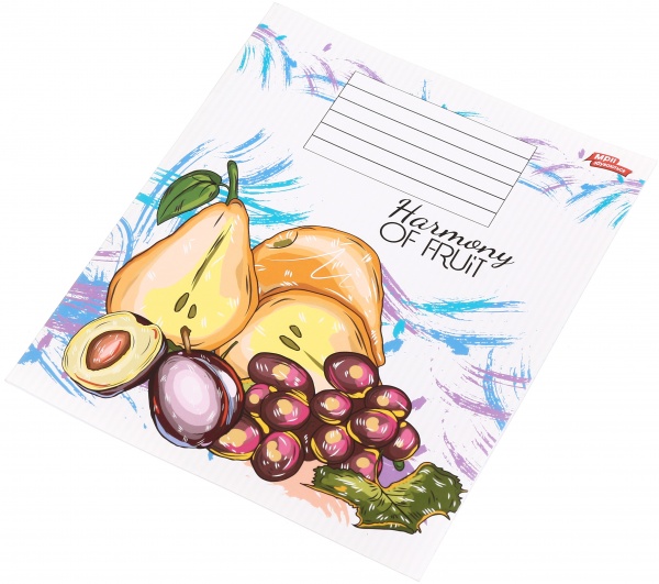 Тетрадь школьная 18 листов в линейку в ассортименте Мечты сбываются