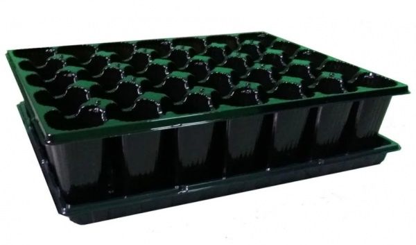 Кассета Elsa для рассады 35, 63, 99 ячеек ПЭТ