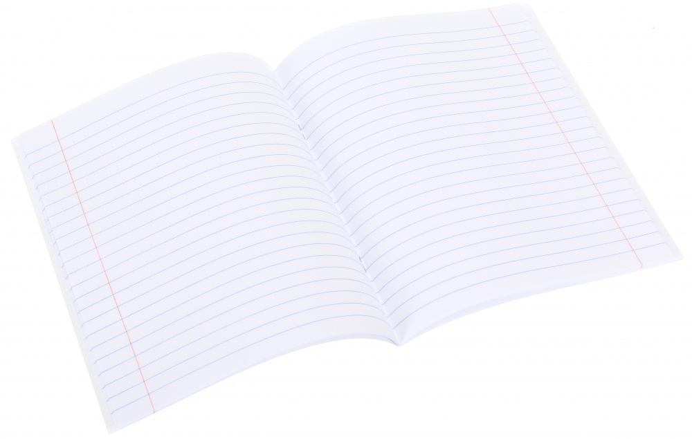 Тетрадь школьная 24 листа линия 2024_1 Nota Bene