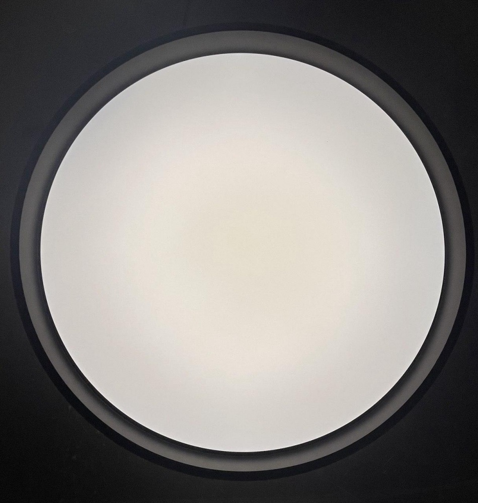 Світильник стельовий Sensio LED Isa 48 Вт білий із чорним 3000 - 6500 К AR-N250301396