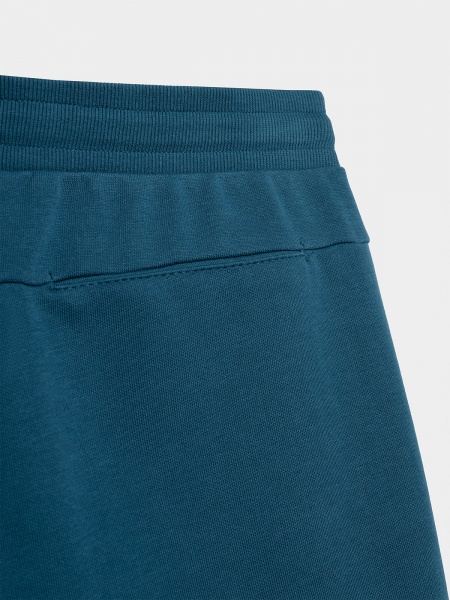 Шорти 4F 4FSS23TSHOM156-32S р. XL синій