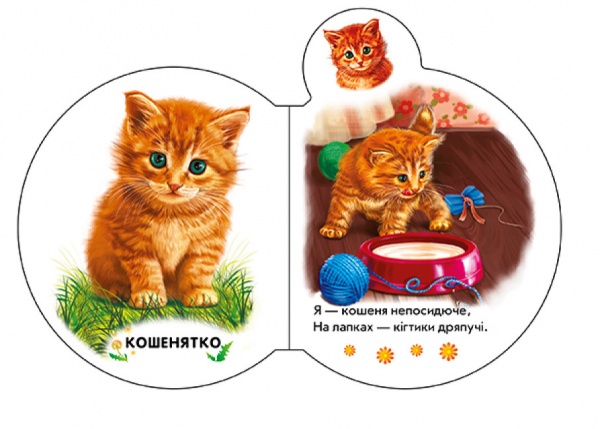 Книга Ирина Солнышко «На подвір'ї» 9-789-667-508-586