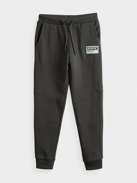 Брюки 4F J4Z20-JSPMD207A-22S р. 164 серый