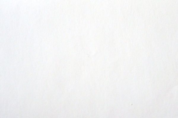 Малярный флизелин Versailles 398-50 25 м 