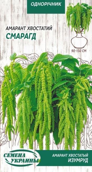 Семена Семена Украины амарант хвостатый Изумруд Зеленый 0,2 г