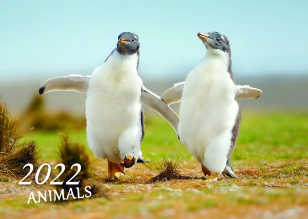 Календарь Діана Плюс Кишеньковий (32 види) 2022