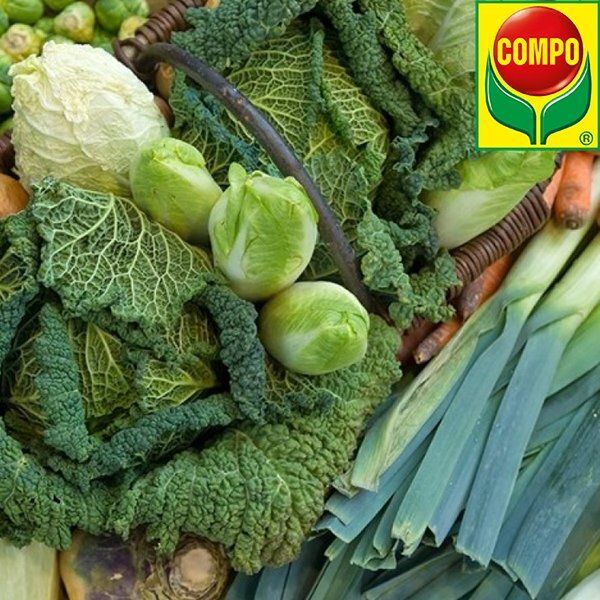 Добриво універсальне Compo Blaгkorn Novatec (3912) 3 кг