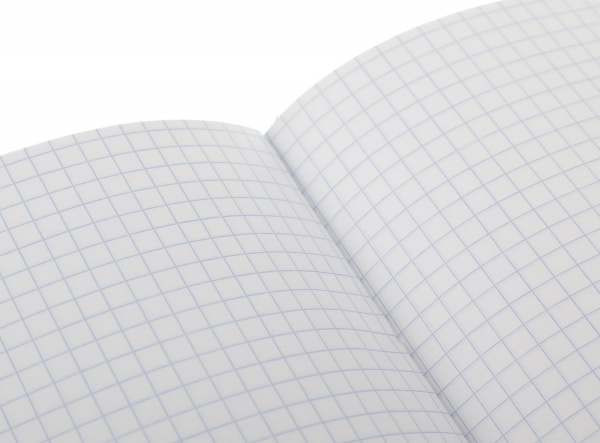 Тетрадь школьная Princess 48 листов в клетку Мечты сбываются