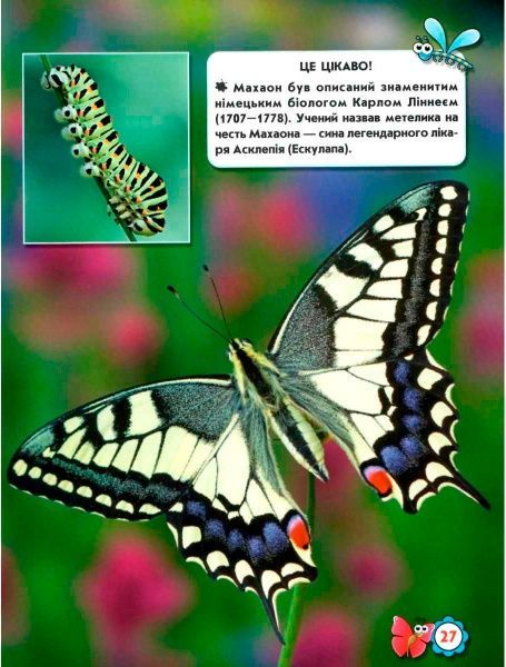 Книга Тамара Протасовицкая «Світ навколо нас. Комахи» 978-966-9369-20-8