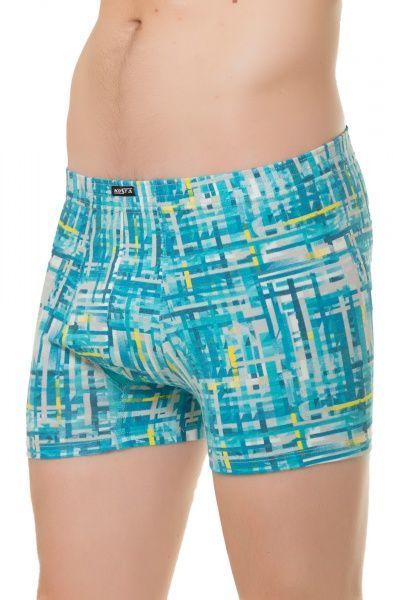 Трусы-шорты мужские KOSTA 0065-9 L голубой