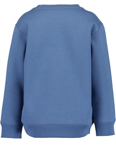 Реглан для хлопчика Blue Seven р.122 денім 864714 X5541 