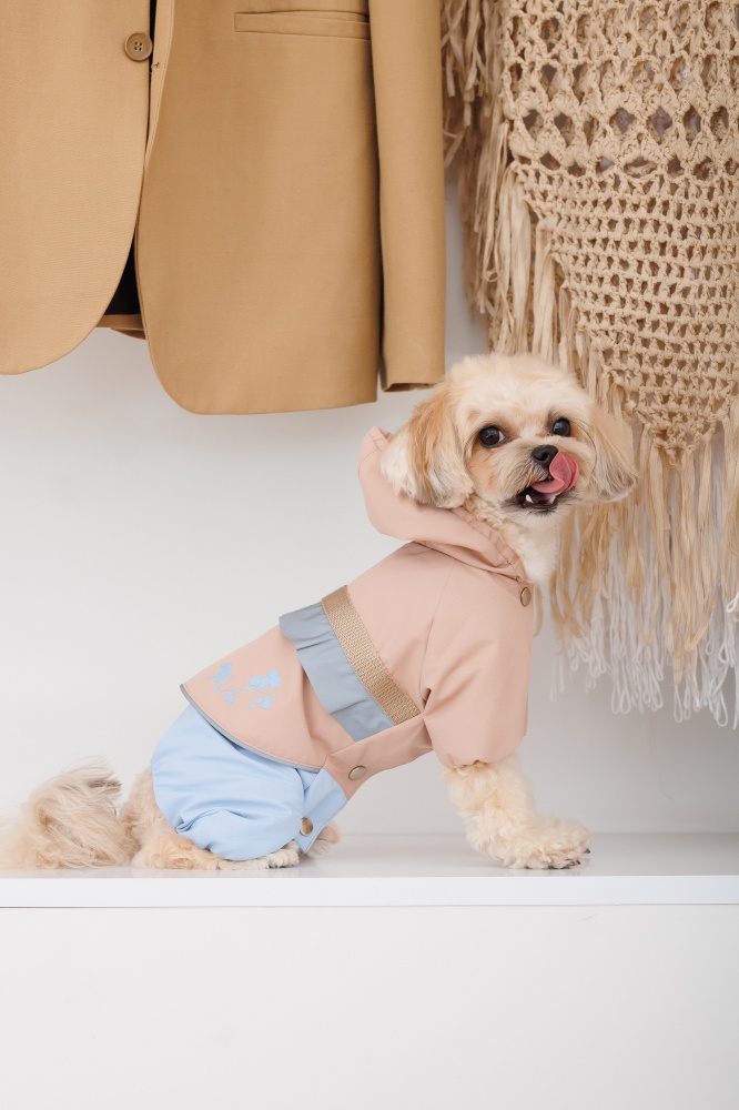 Дощовик Pet Fashion Tina XS бежевий