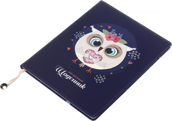 Дневник SD1613 167х211 мм 48 листов Bourgeois