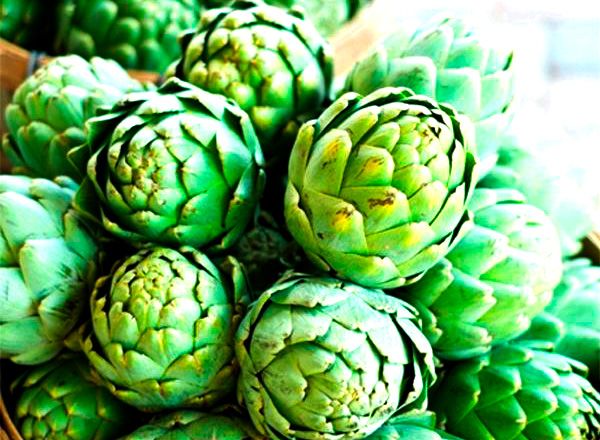 Семена Golden Garden артишок зеленый глобус 0,5г