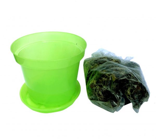 Комплект для пересадки орхидей D150 круглый салатовый 