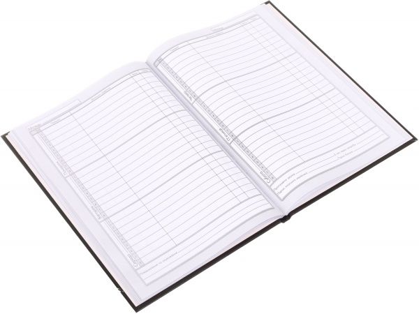 Дневник школьный Space Nota Bene