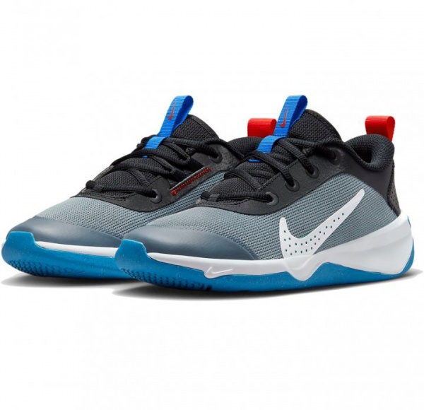 Кроссовки Nike OMNI MULTI-COURT DM9027-006 р.40 серый