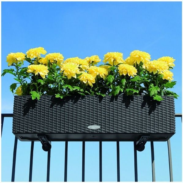 Держатель для горшков Lechuza Balconera Cottage 19033 25х30 см 