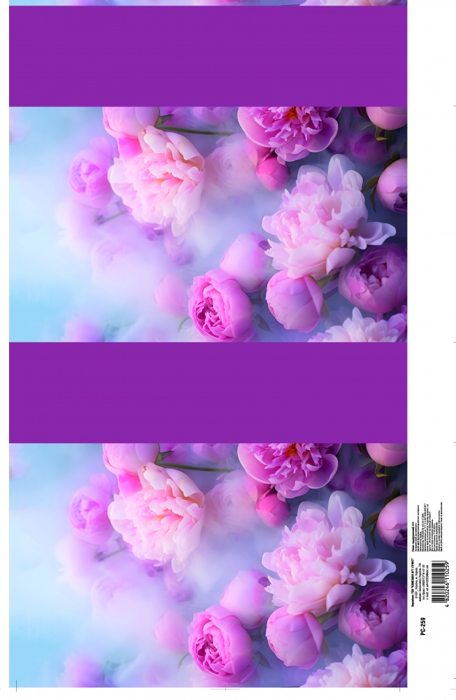 Пакет подарунковий