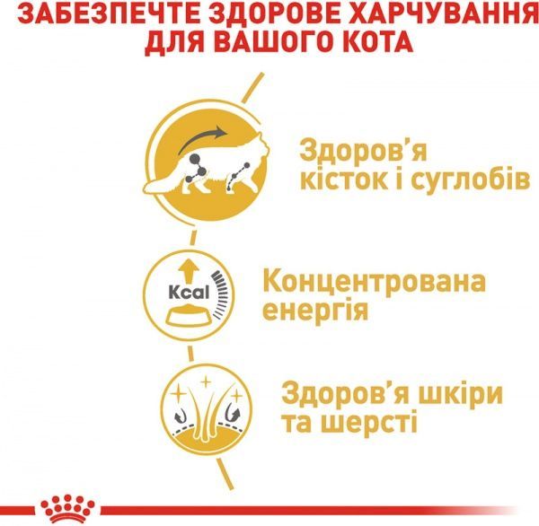 Корм Royal Canin Maine Coon Adult у соусі 85 г