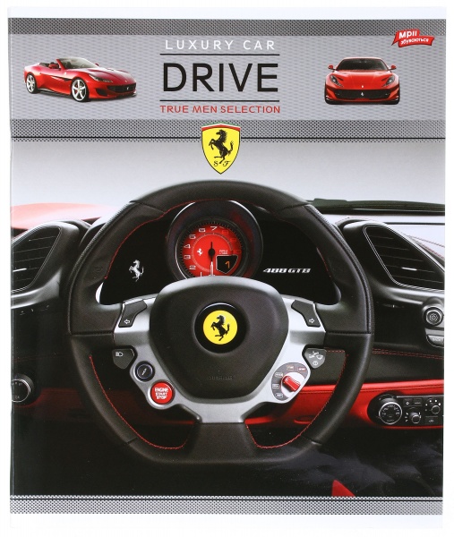 Тетрадь школьная уф-лак 48 листов в клеточку в ассортименте Мечты сбываются