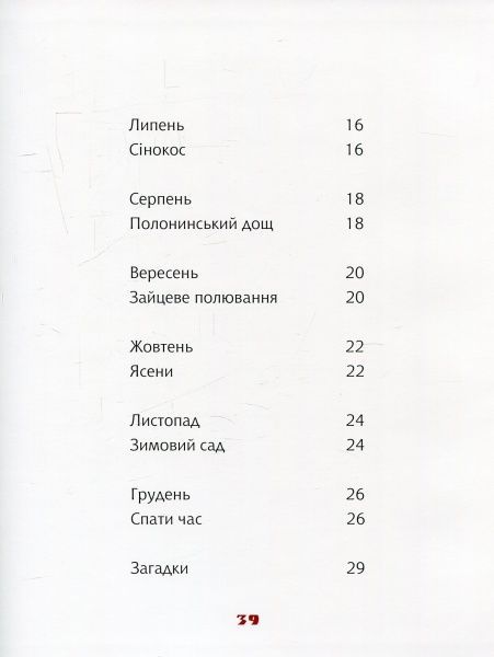 Книга «Книга Їде грудень на коні»