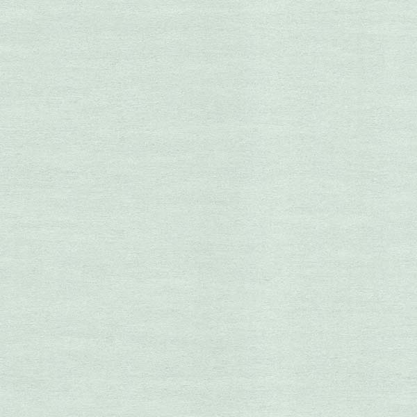 Едем Статус 9091-17 1.06x10.05 м